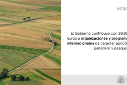 Hoy, en el Consejo de Ministros