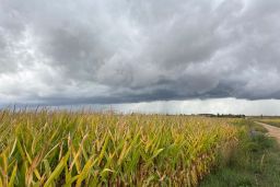 HOY, EN CONSEJO DE MINISTROS