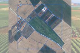 La siembra directa y las cubiertas vegetales, claves para la captación de carbono