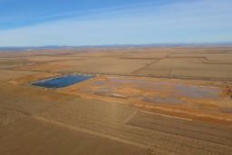PROMOVIDAS POR EL MINISTERIO DE AGRICULTURA, PESCA Y ALIMENTACIÓN 