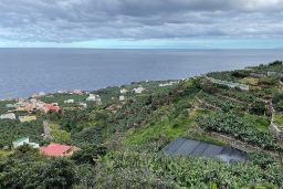 PROMOVIDAS POR EL MINISTERIO DE AGRICULTURA, PESCA Y ALIMENTACIÓN