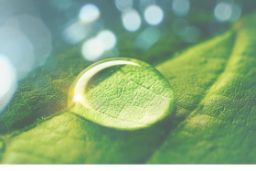 SEMANA DE LA ADMINISTRACIÓN ABIERTA 2023