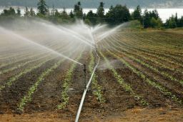 EL PRÓXIMO LUNES, DÍA 5