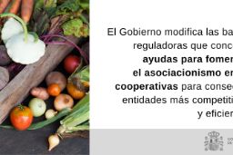 HOY, EN EL CONSEJO DE MINISTROS