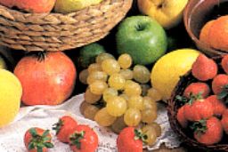 PUBLICADA LA NUEVA NORMA HOY EN EL BOE 