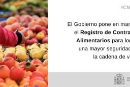 MEDIANTE UN REAL DECRETO APROBADO EN CONSEJO DE MINISTROS  