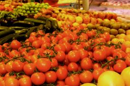 Publicado hoy en el BOE 