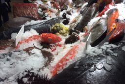 PUBLICADO HOY EN EL BOE