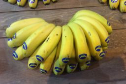 HOY, EN EL CONSEJO DE MINISTROS  