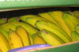 HOY, EN EL CONSEJO DE MINISTROS 