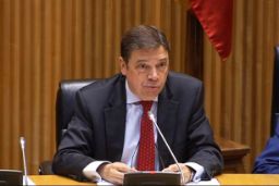 En el Congreso de los Diputados