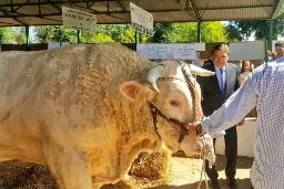 HOY, EN LA INAUGURACIÓN DE LA FERIA INTERNACIONAL GANADERA Y 565 TRADICIONAL DE SAN MIGUEL EN ZAFRA (BADAJOZ) 