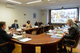 REUNIDA POR VIDEOCONFERENCIA