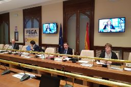 EN LA REUNIÓN CELEBRADA HOY POR VIDEOCONFERENCIA 