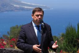 TRAS LA REUNIÓN CON REPRESENTANTES DEL SECTOR DEL PLÁTANO CANARIO