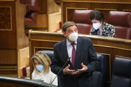 HOY, EN EL CONGRESO DE LOS DIPUTADOS 