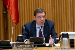 Comparecencia en comisión en el Congreso de los Diputados 