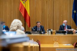 Comparecencia en comisión en el Congreso de los Diputados 