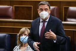 Hoy, en el Congreso de los Diputados