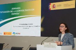 Hoy, en Madrid, en una jornada para analizar este tipo de proyectos 