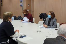 DE CARA A LA PRESIDENCIA PORTUGUESA DEL CONSEJO DE LA UE, DURANTE EL PRIMER SEMESTRE DE 2021  