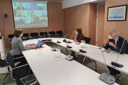 Por videoconferencia