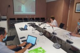 Mediante videoconferencia