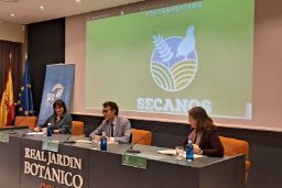 HOY, EN EL REAL JARDÍN BOTÁNICO DE MADRID