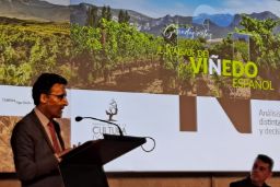 En la jornada “El Paisaje del Viñedo Español”, celebrada en Madrid
