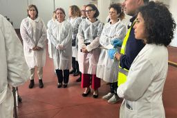 Nuevo modelo integrado de inspección