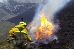Colaboran con las CCAA de Andalucía y Castilla y León por segundo día consecutivo 