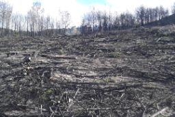 Hoy, en Consejo de Ministros 