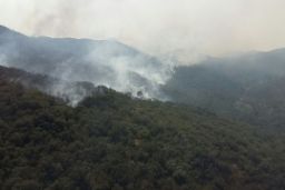Para apoyar a la Comunidad Valenciana y a las Comunidades Autónomas de Andalucía, Cataluña, Baleares y a Portugal  