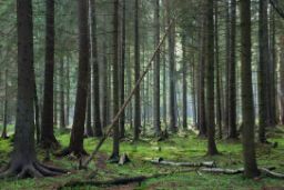 HOY, EN CONSEJO DE MINISTROS