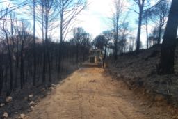 SE PRODUJO EN AGOSTO DE 2018  