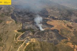 Hoy domingo, 14 de julio 