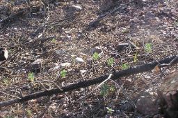 El Gobierno de España apoya a las CCAA en los trabajos de restauración y de recuperación de las zonas afectadas por desastres naturales