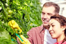 Publicada la resolución definitiva en la página web del ministerio