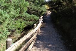 EL MINISTERIO ES PROMOTOR DE ESTE CAMINO 