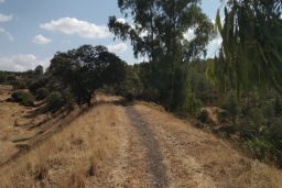 La antigua vía férrea discurre entre Fuente del Arco (Badajoz) y Puertollano (Ciudad Real)