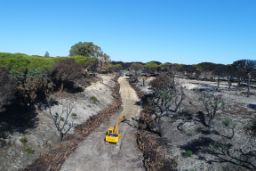 El incendio ocurrió entre el 24 de junio y el 5 de julio de 2017 
