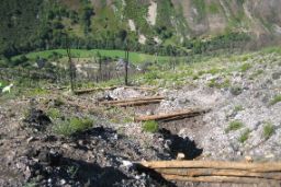  EN EL MARCO DE LAS ACTUACIONES DE COLABORACIÓN CON LAS CCAA 