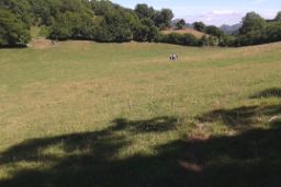 DISPONIBLE DESDE HOY