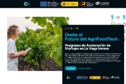 Programa de aceleración de empresas emergentes