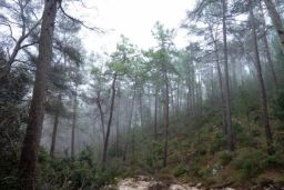 Hoy, en el Consejo de Ministros 