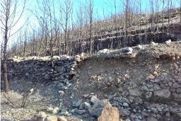 Hoy, en Consejo de Ministros 