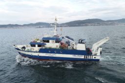 Desde el 28 de junio al 9 de agosto