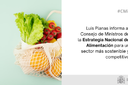 Hoy, en Consejo de Ministros  