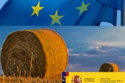 LA COMISIÓN EUROPEA PRESENTA SUS MEDIDAS PARA HACER FRENTE A LOS EFECTOS DEL COVID-19