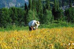 A partir de mañana, 1 de febrero